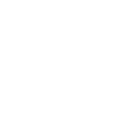 Andes Electronica